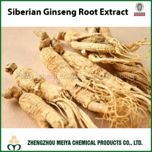 Siberian Ginseng / Eleutherocus Senticosus Powder Extract with Eleutheroside