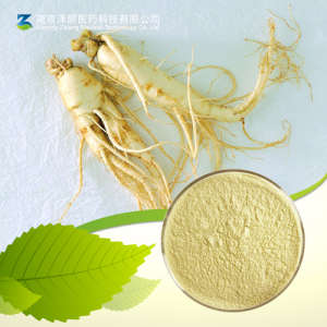 Ginseng Root Extract Ginsenoside 80%