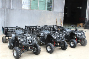 125cc Shaft Drive Beach ATV for Adult Sporting